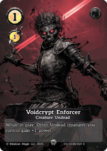 Voidcrypt Enforcer