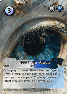 Silvershore Vision