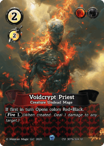 Voidcrypt Priest