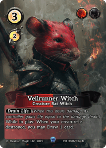 Veilrunner Witch