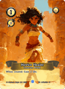 Novice Healer